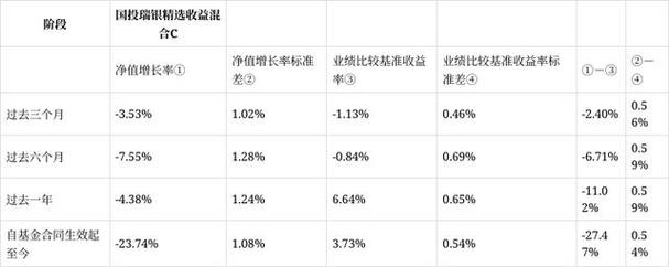 国投瑞银医疗保健混合A类份额表现分析_国投瑞银医疗保健混合基金2025年第一季度报告_国投瑞银医疗