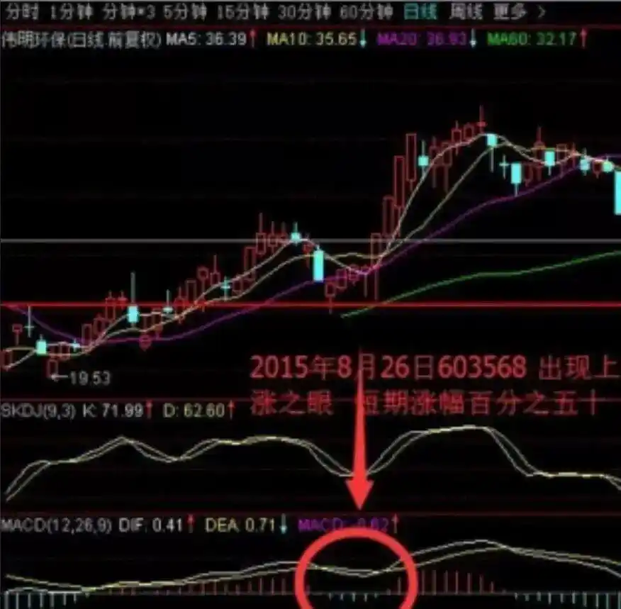 炒股多年亏损原因_MACD指标实战应用技巧_日线底背离选股公式