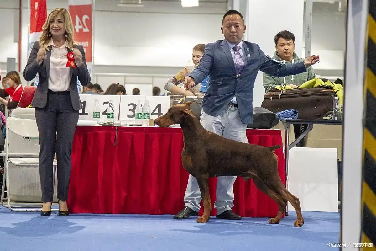 明年0元赚钱的好项目_2025年暴利生意推荐_适合普通人的低本创业项目