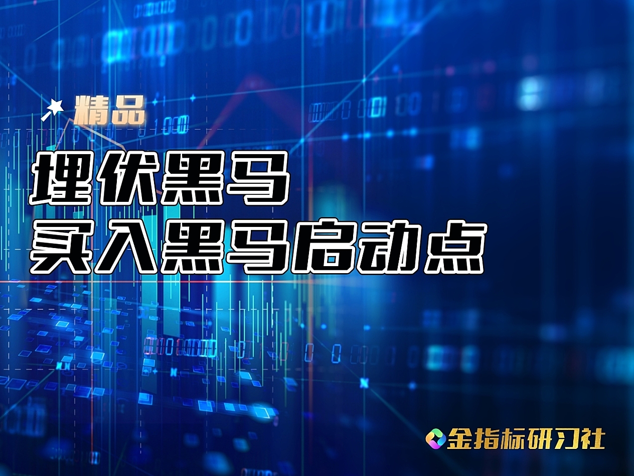 【精品】通达信买在黑马启动点【副图】指标，埋伏低吸点位精准，胜率90以上