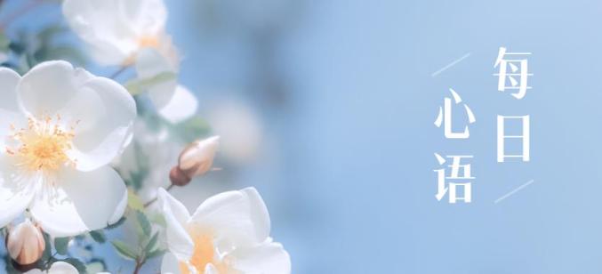 江苏省城市足球联赛无锡VS连云港 中签率 优惠政策_江苏有线中签率