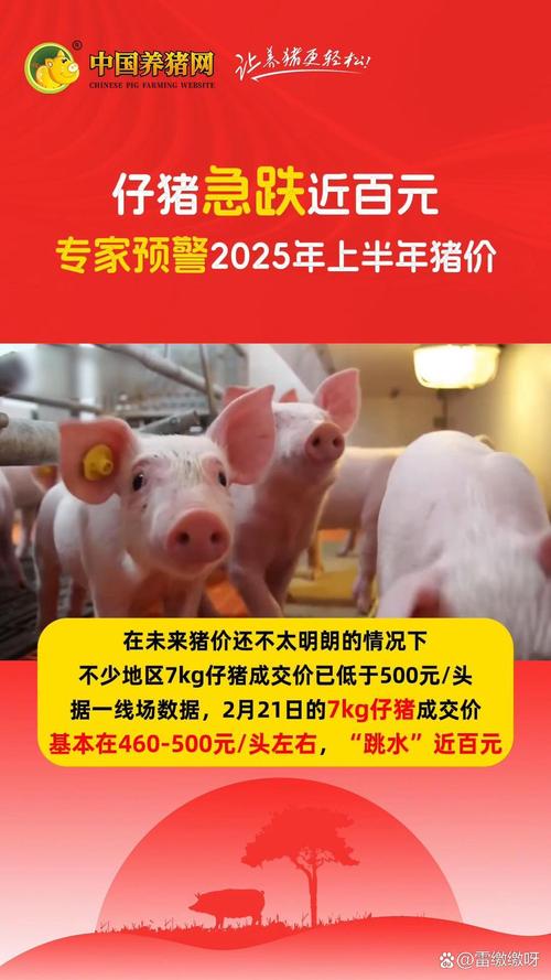 山东今日仔猪价格行情预测_5月仔猪价格走势分析_生猪价格跌出新低