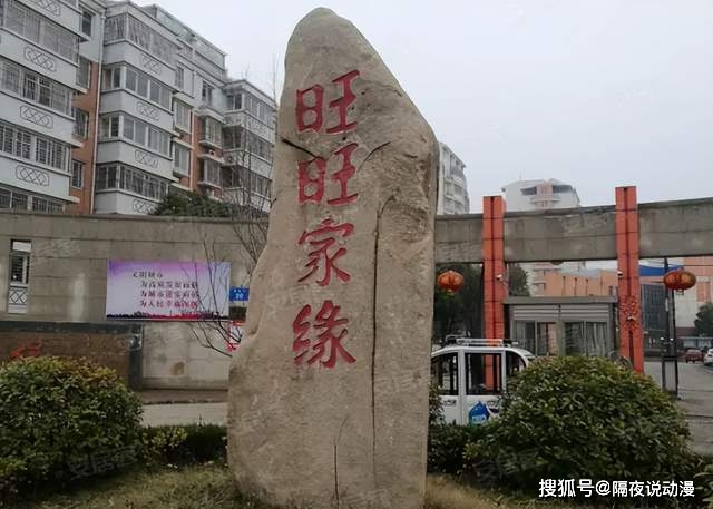 旺旺集团爱国情怀_美国旺旺和中国旺旺_旺旺集团首席运营官蔡旺家