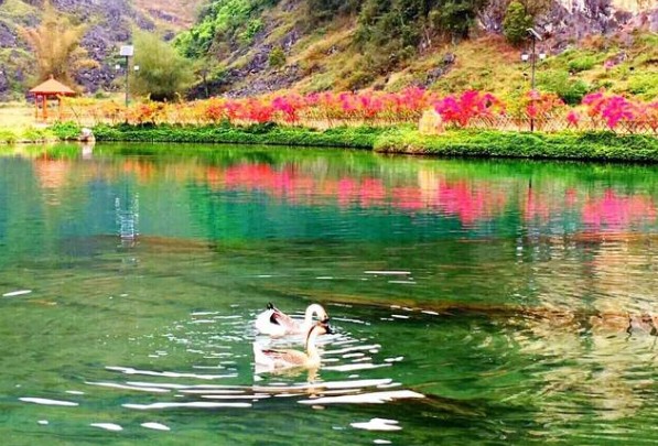 A股冲高回落行情_抗疫概念股上涨行情_尾盘拉高回落