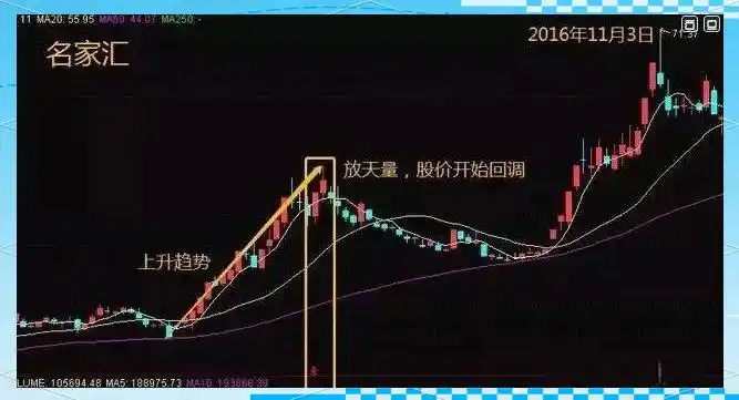 成交量深层意义_持仓量低 成交量大 说明什么_成交量基础概念