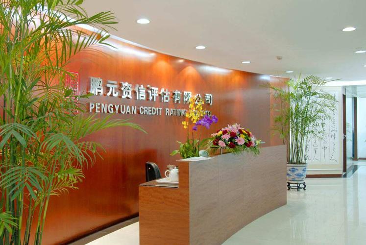 鹏元资信评估好进吗?_中证鹏元评级业务违规_中证鹏元责令改正