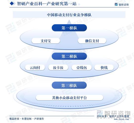 移动支付市场份额分析_2025翼支付逢5五折是指_翼支付市场份额不足原因