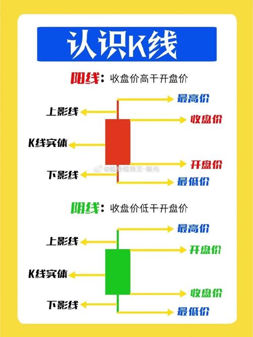  股票投资基础知识 _炒股去哪开户比较好_新手炒股入门知识 