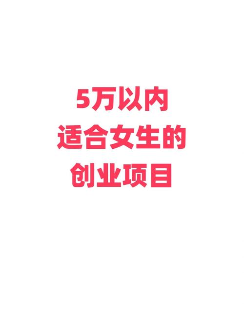 5万预算创业项目_5万元以下的投资项目_女生创业好项目