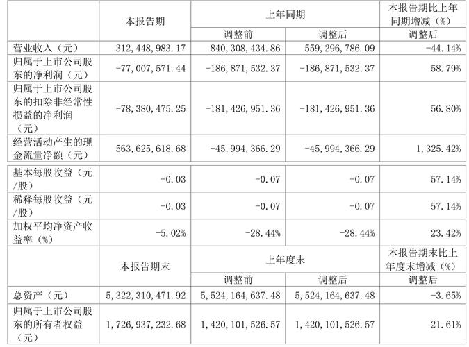 ST碳元经营状况分析_ST碳元2023年半年度报告_碳元科技股吧