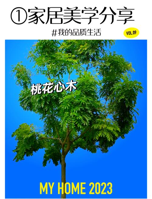 非洲楝属木材对比_卡雅楝属木材特性_非洲楝和大叶桃花心木