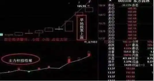 选股技术_拉涨停怎么出货_短线交易要点