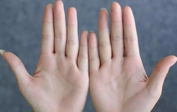 断掌三线合一有啥说法？掌厚指丰、事业线清晰，财富盛誉双收