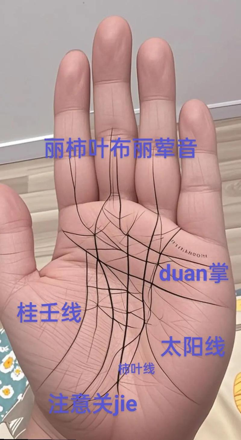 断掌智慧线感情线横切掌心_断掌性格特质意志坚定固执偏激_断掌三线合一