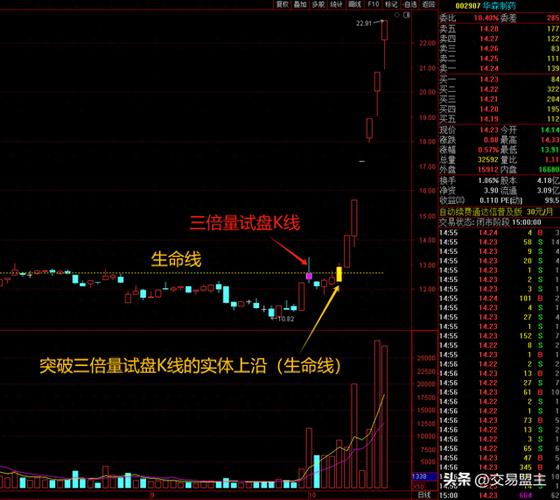 技术指标公式编辑器_通达信公式教程大全_通达信 技术指标公式和条件选股公式区别