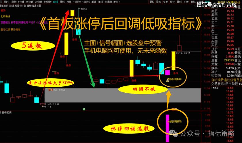 涨停回马枪操盘_涨停回马枪技术要点_涨停回马枪战法