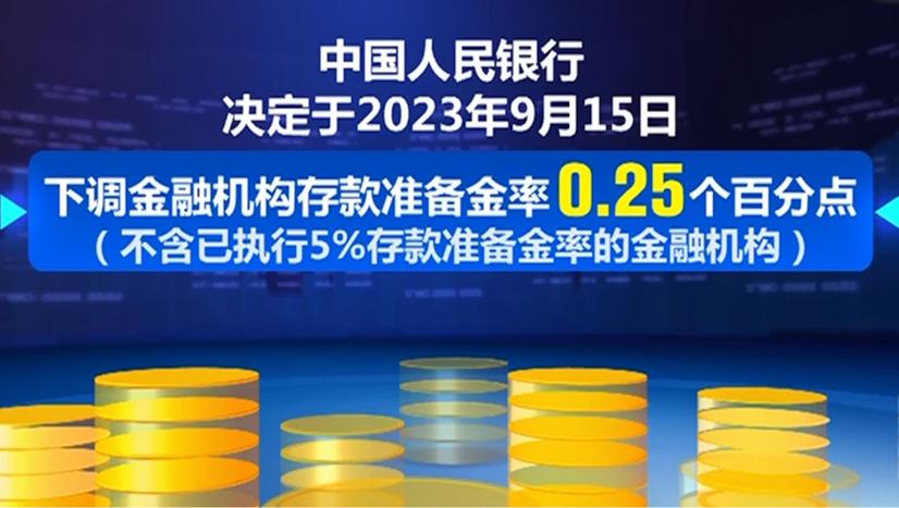 资本充足率制度_差别存款准备金率制度_人民银行降低存款准备金率