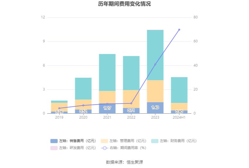 城投控股财务状况分析_城投控股2024年半年度报告_城投控股投资价值