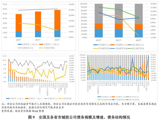 城投控股财务状况分析_城投控股投资价值_城投控股2024年半年度报告