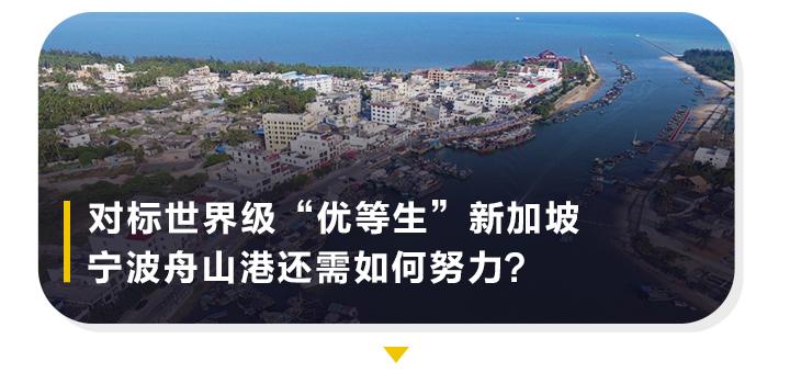 中国特色自由贸易港_物产中大与舟山自贸区_海南自贸港建设