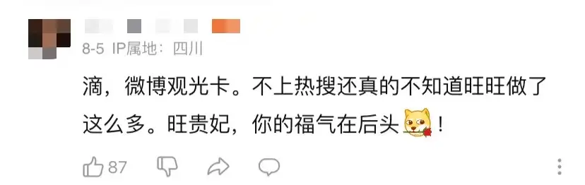 旺旺医院_旺旺集团爱国立场_蔡旺家微博内涵台独