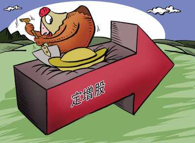 新中港第三次股权融资_新中港储能项目投资_辽宁成大定增