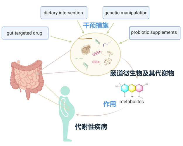 怎么补充维生素b3_基因优先系统性筛选框架_高剂量维生素B3治疗NAXD缺陷小鼠