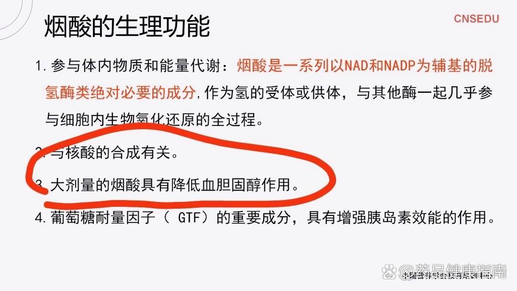 高血脂维生素B3烟酸补充剂_烟酸对血脂调节的作用机制_怎么补充维生素b3