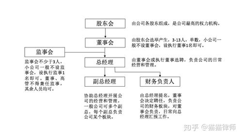 股东和董事会啥关系？搞懂股权、股份、股票的区别是关键
