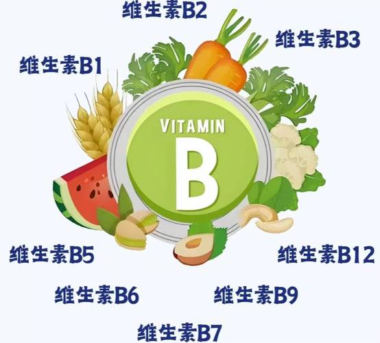 怎么补充维生素b3_高血脂维生素B族调节_维生素E抗氧化血脂管理