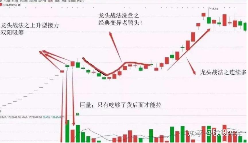 大数据概念龙头股_大数据概念股分析_ST中珠600568大数据分析