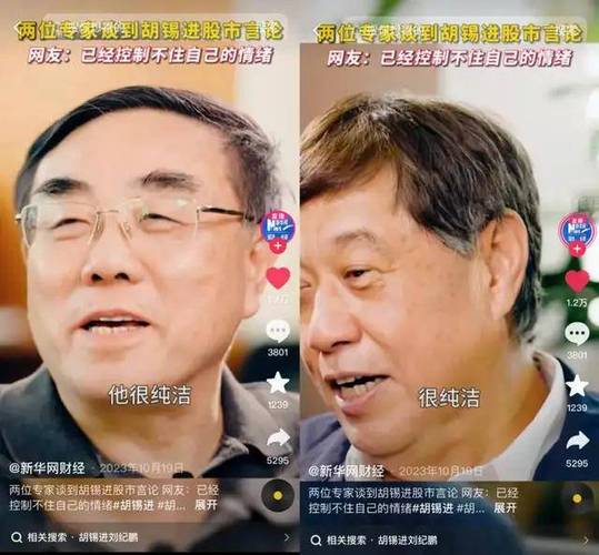 中国股市充值论_胡锡进炒股经历_股市搞笑段子2026