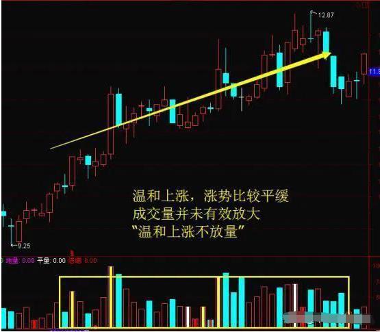 只做确定上涨的股_趋势思维炒股精髓_放量公式