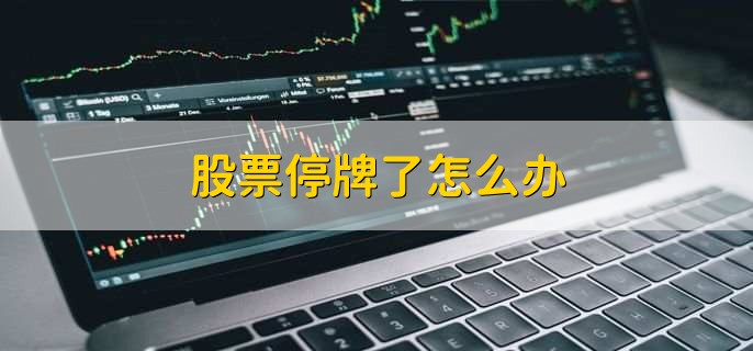 股票停牌不用慌！掌握这些应对方法，轻松化解投资难题