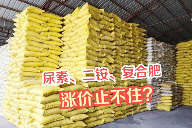 春耕地头尿素价格_国际磷肥价格_磷肥电池厂抢矿