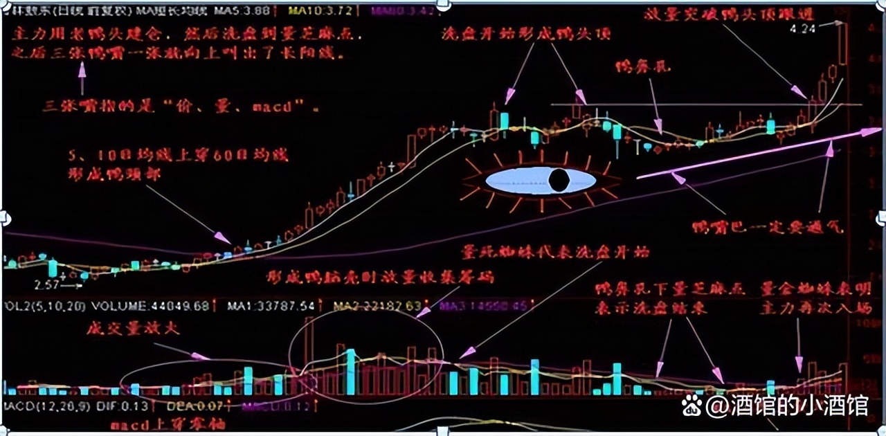 股市投资智慧_放量突破头部_安静的投资者