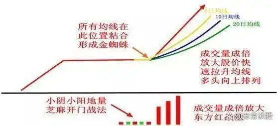 金蜘蛛主图指标公式_均线缠绕交易系统_金蜘蛛均线形态