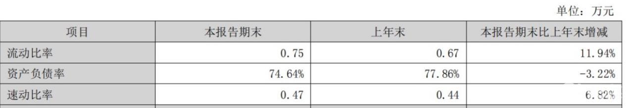 比亚迪财务报表分析ppt_比亚迪2024年财报_比亚迪营收增长超特斯拉