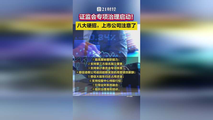 上市公司治理专项行动_会计财务造假案例_提升公司内控有效性