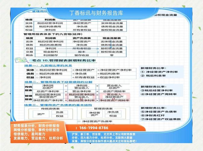 比亚迪负债情况解读_比亚迪财务报表分析ppt_比亚迪资产负债率分析
