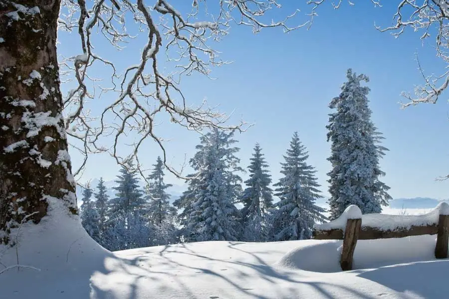 新电影路演嗨翻现场，主创团队与观众热情互动引期待