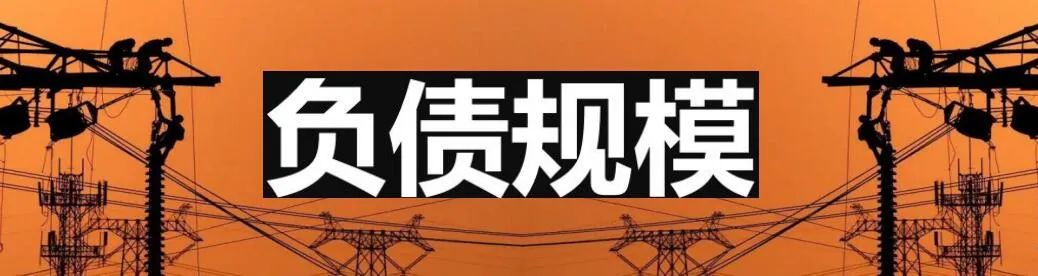 新能源电力系统改革_国电海南分公司_国家电网与南方电网对比分析