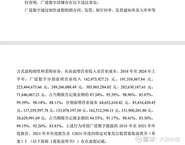 中审华会计所处罚_广道数字财务造假_会计财务造假案例