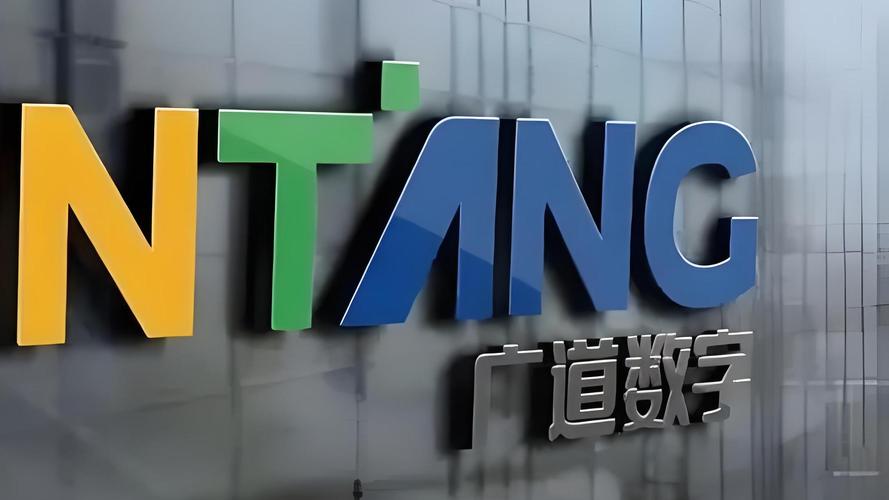 会计财务造假案例_中审华会计所处罚_广道数字财务造假