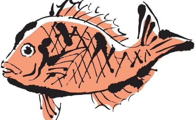 武昌鱼宜昌长金投资 武汉联富达 证监会调查_600275武昌鱼股票